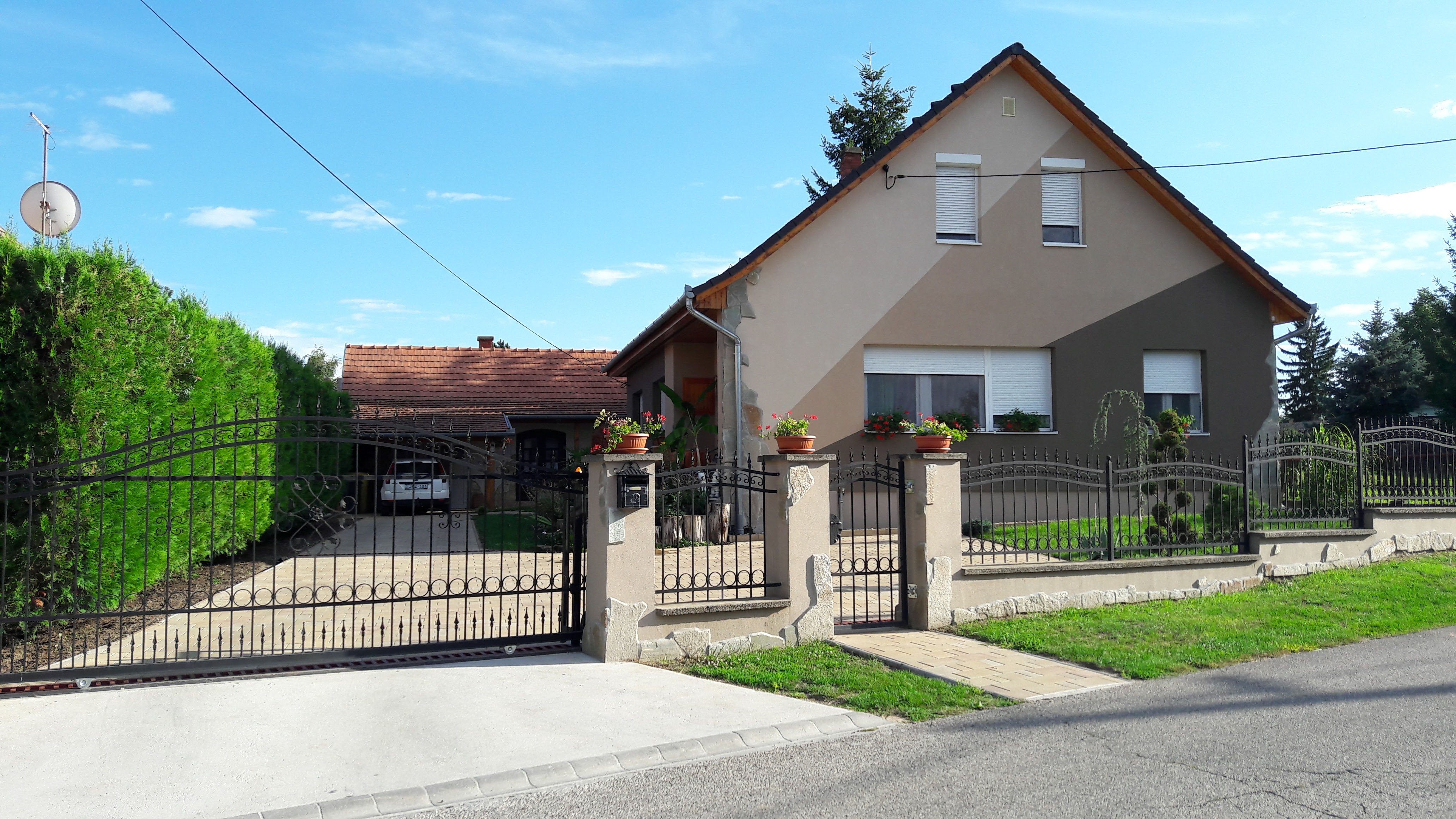 Zöld